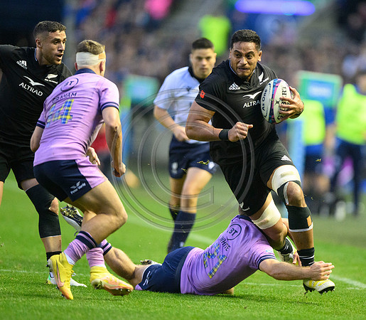 Scotland v New Zealand