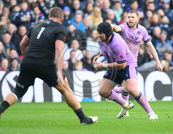 Scotland v New Zealand