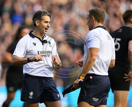 Scotland v New Zealand