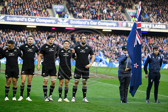 Scotland v New Zealand