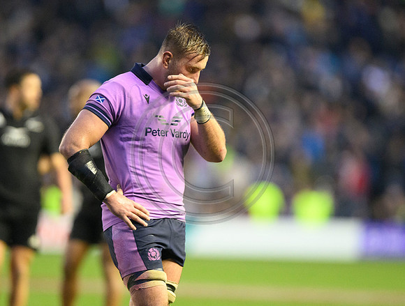 Scotland v New Zealand