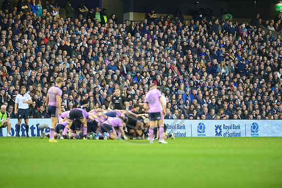 Scotland v New Zealand