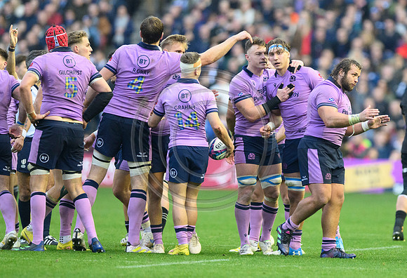 Scotland v New Zealand