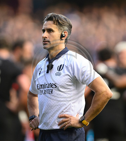 Scotland v New Zealand
