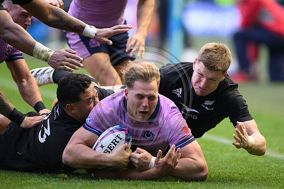 Scotland v New Zealand