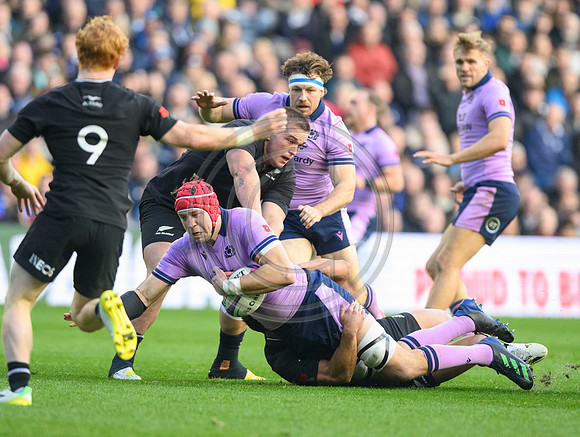 Scotland v New Zealand