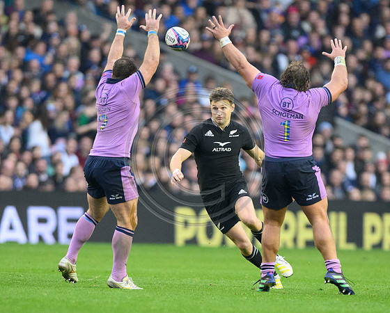 Scotland v New Zealand