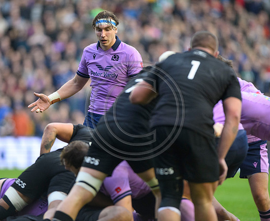 Scotland v New Zealand