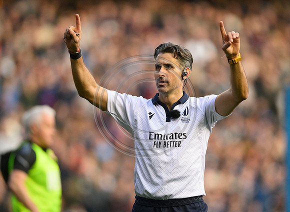 Scotland v New Zealand