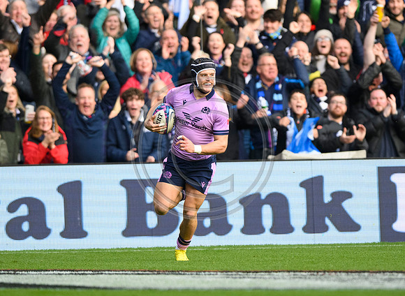 Scotland v New Zealand