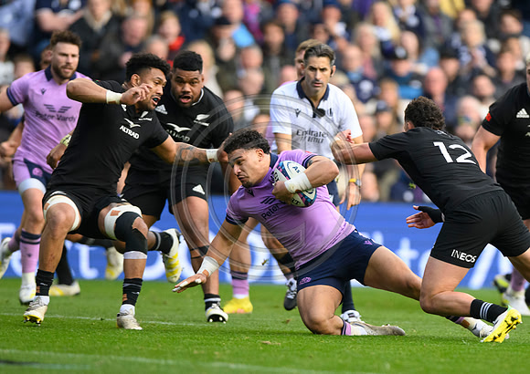 Scotland v New Zealand