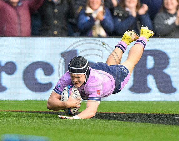 Scotland v New Zealand