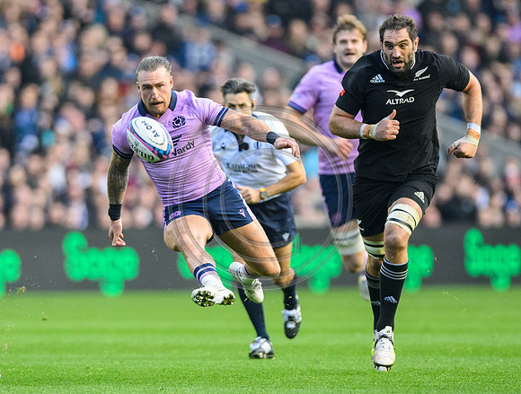 Scotland v New Zealand