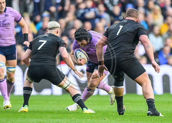 Scotland v New Zealand