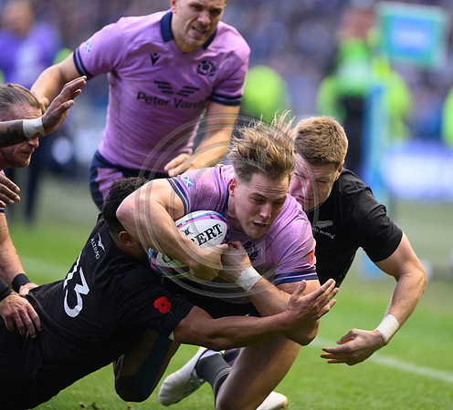 Scotland v New Zealand