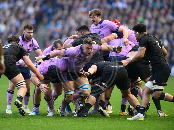 Scotland v New Zealand