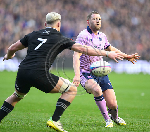 Scotland v New Zealand