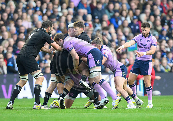 Scotland v New Zealand