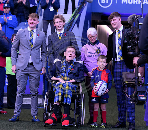 Scotland v New Zealand