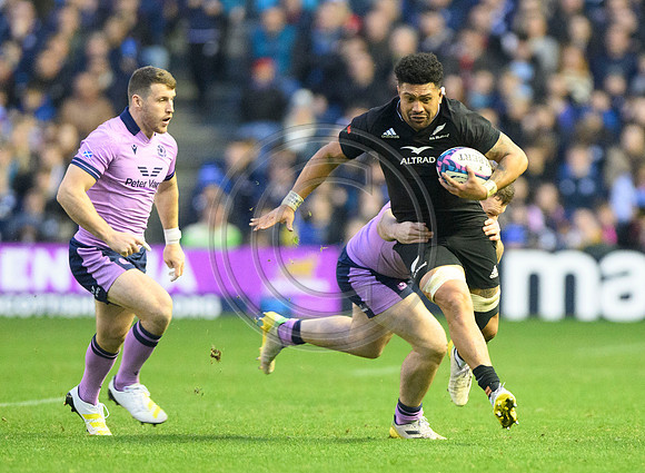 Scotland v New Zealand
