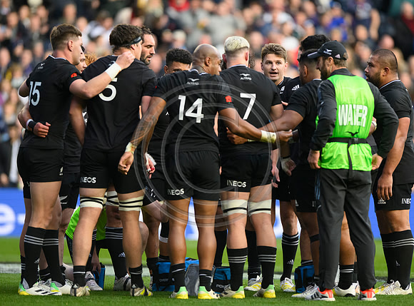 Scotland v New Zealand