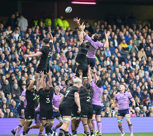 Scotland v New Zealand