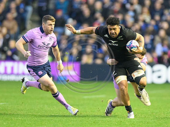 Scotland v New Zealand