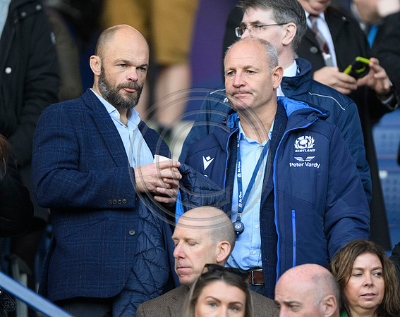 Scotland v New Zealand