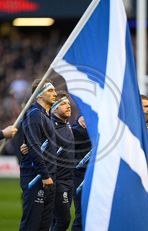 Scotland v New Zealand