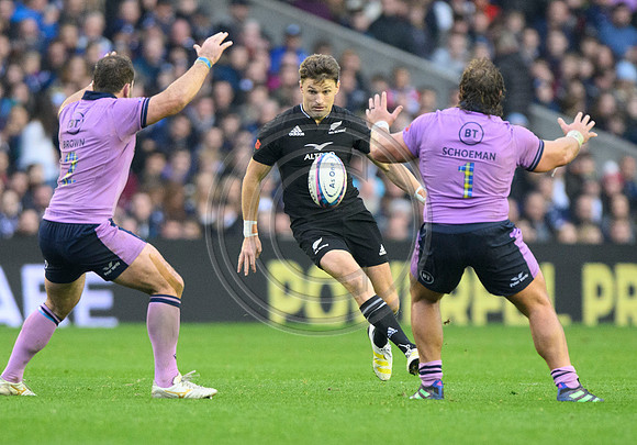 Scotland v New Zealand