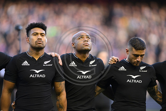 Scotland v New Zealand