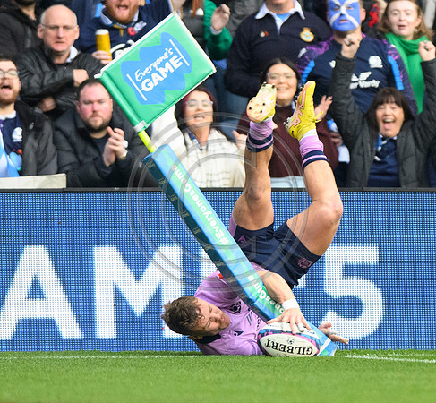 Scotland v New Zealand