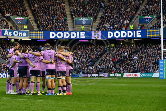 Scotland v New Zealand