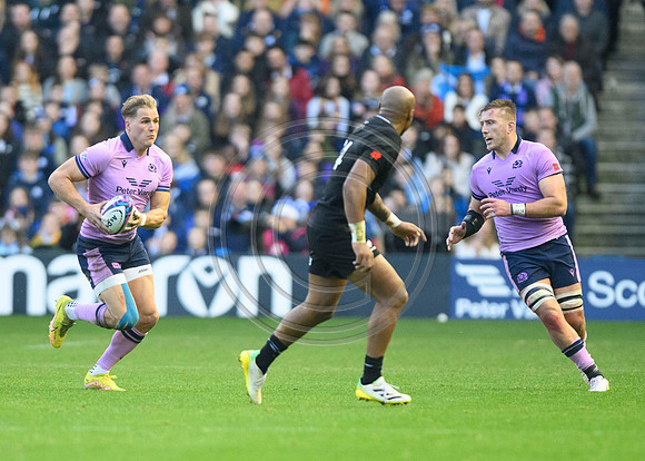 Scotland v New Zealand