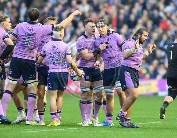 Scotland v New Zealand