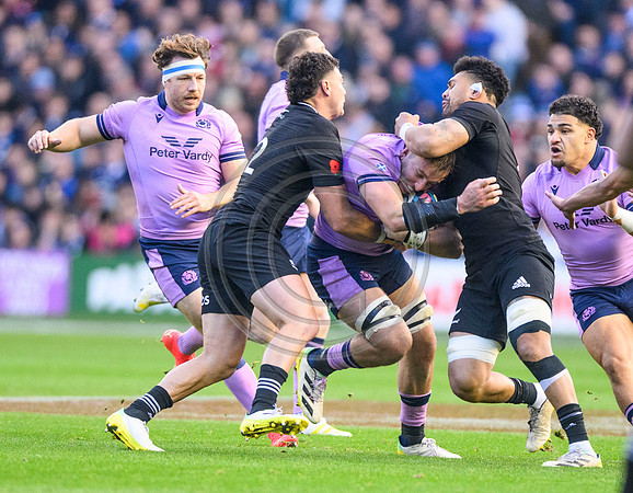 Scotland v New Zealand