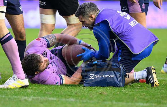 Scotland v New Zealand