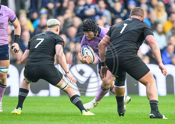Scotland v New Zealand