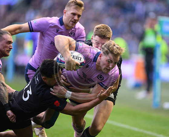 Scotland v New Zealand