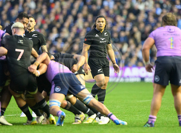 Scotland v New Zealand