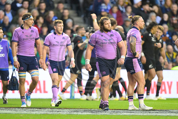 Scotland v New Zealand