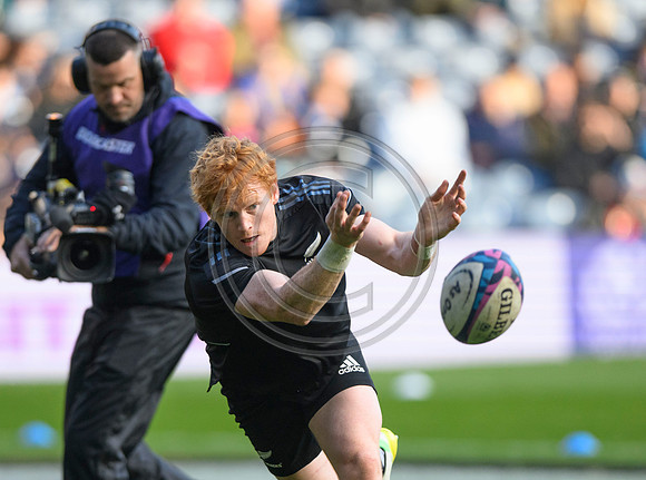 Scotland v New Zealand