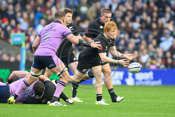 Scotland v New Zealand