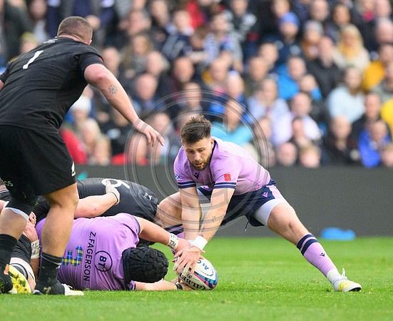 Scotland v New Zealand