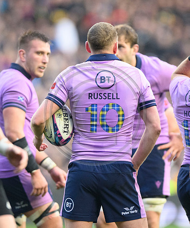 Scotland v New Zealand