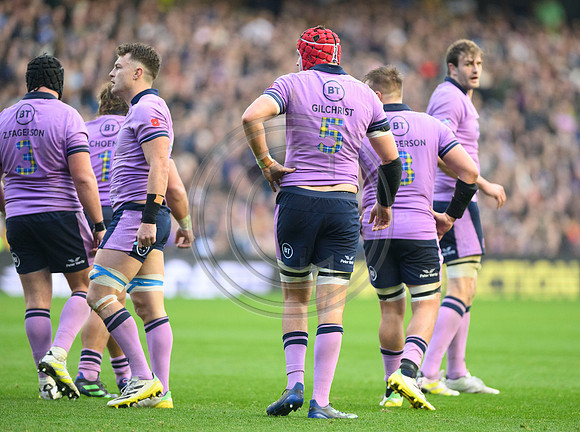 Scotland v New Zealand