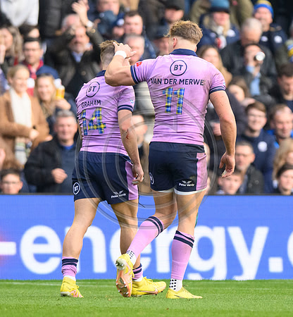 Scotland v New Zealand