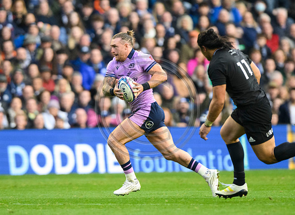 Scotland v New Zealand