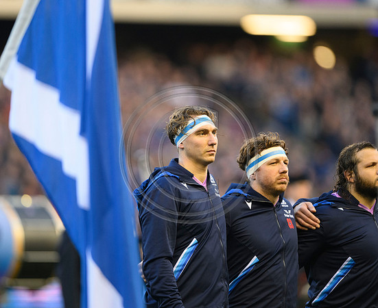 Scotland v New Zealand