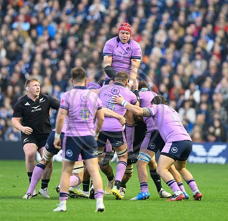 Scotland v New Zealand